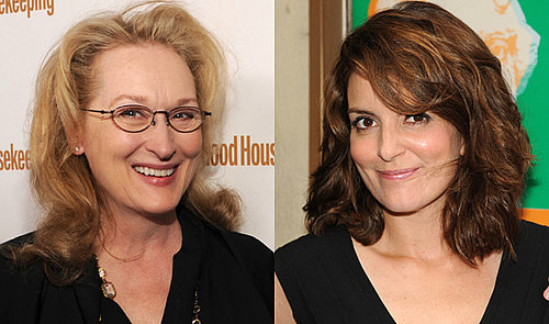 Meryl Streep and Tina Fey to Play Mother and Daughter in Mommy & Me 2010-07-16 10:45:32