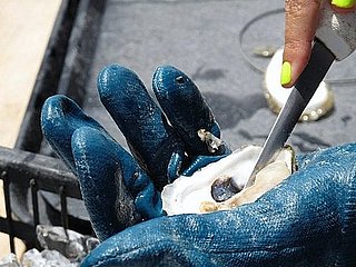 Do You Eat Oysters Year-Round?