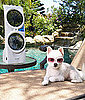 Misting Fan For Dogs