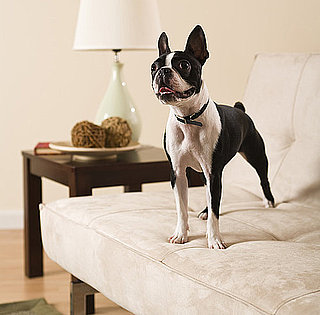 What Makes a Good Watchdog?