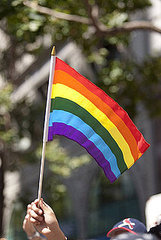 US Judge Rules Gay Marriage Ban Unconstitutional