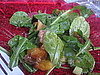 Grilled Peach Salad With Grapefruit Vinaigrette Recipe