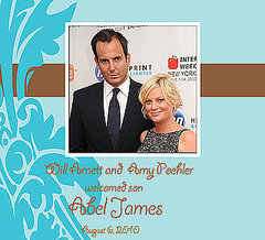 Amy Poehler Gives Birth to Anot...