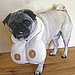 Brilliant or Baffling: Doggie Boobs R Us?