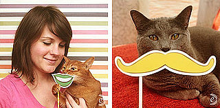 Mustaches For Cats, Dogs With Stuffed Animals and More Cuteness From the Web