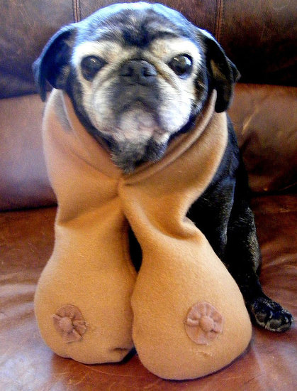 A Boob For the Cause