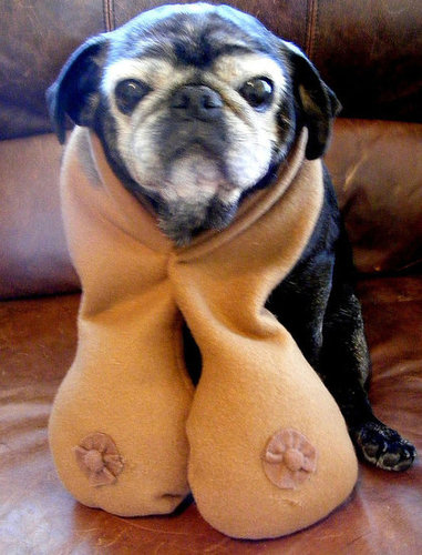 A Boob For the Cause A Boob For the Cause