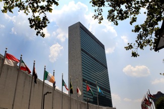 The Case For the UN Women's Agency