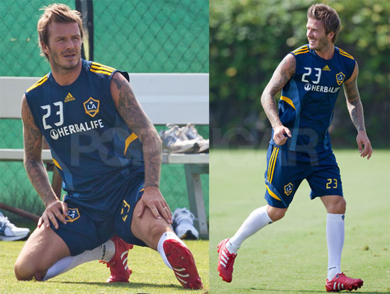 Pictures of David Beckham Pictures of David Beckham