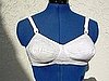 Bras in Pop Culture
