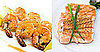 Would You Rather Eat Shrimp or Salmon?