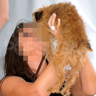 Celebrity Guess Who Game 2010-08-16 17:30:00