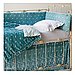 Aqua Silk Velvet Embroidered Bedding