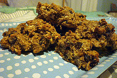 Oatmeal Wheat Germ Chocolate Chip Cookie Recipe Oatmeal Wheat Germ Chocolate Chip Cookie Recipe