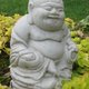 Sunflower Sutra
