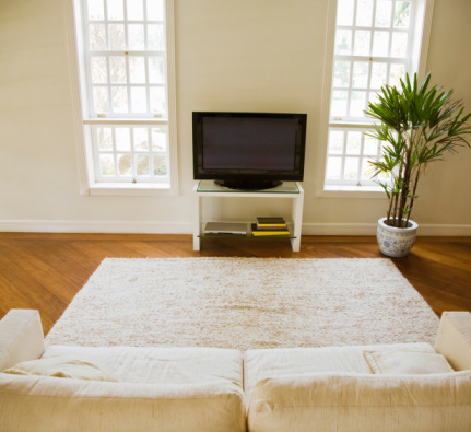 Do You Enjoy TV or Internet Breaks?