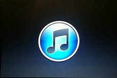 iTunes 10 and Ping iTunes 10 and Ping