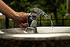 Stay Hydrated During Long Runs