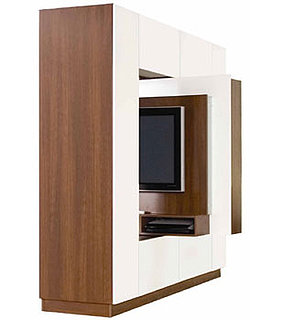Room Divider TV Stand