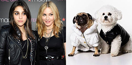 Madonna and Lourdes Share Clothes, Roberto Cavalli Designs Petwear