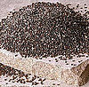 Why We Should Love to Eat Chia Seeds