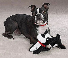 Toys That Look Like Dogs