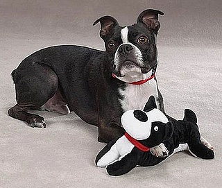 Toys That Look Like Dogs