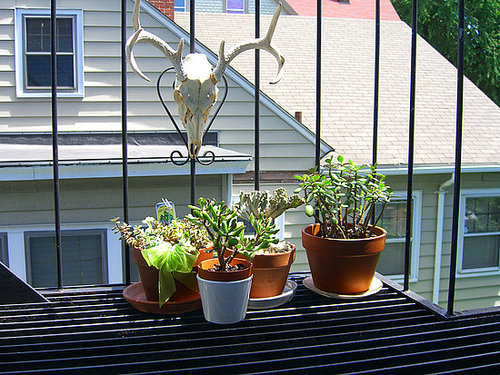 Fire escape decor