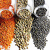 7 Superfoods to Add Brain Power