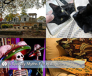 Scary Halloween Myths