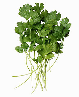 The Benefits of Eating Cilantro