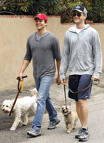 Pictures of Neil Patrick Harris and David Burtka Walking Their Dogs in Studio City, CA