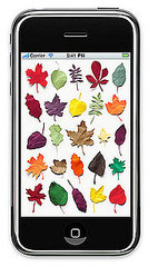 Free Fall iPhone and iPad Wallpapers