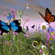 Angelicious3's picture