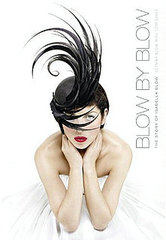 Blow by Blow Book Review Blow by Blow Book Review