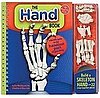 Klutz's The Hand Book and Moveable Skeleton