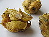 Apple and Onion Stuffing Recipe