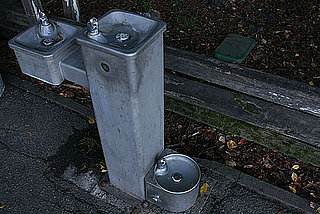 Does a Dog Get His Own Water Fountain in Your City?