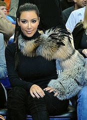 Kim Kardashian Wearing a Fur Sleeve Kim Kardashian Wearing a Fur Sleeve
