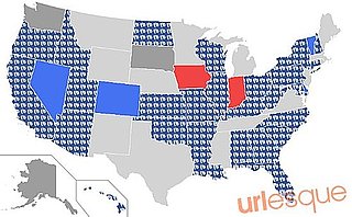 2010 Midterm Election Results