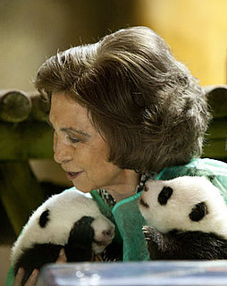 Pictures of Queen Sofia of Spain With Baby Pandas