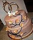 Engagement Cake Engagement Cake