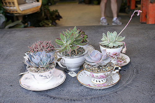 Tea Time!