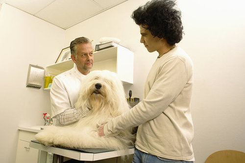 Would You Put a Microchip Number? Would You Put a Microchip Number?