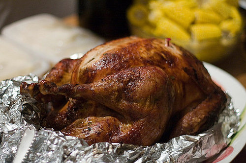 Thanksgiving Turkeys: A Primer