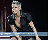 Pink Is Pregnant!