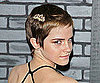 Picture of Emma Watson Wearing a Gold Hair Comb Accessory