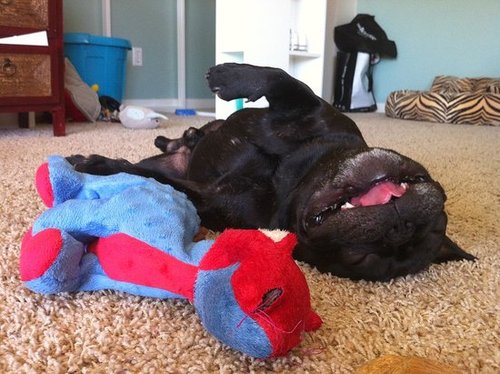 Babar's very favorite toy