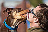 Thankful Week on PetSugar