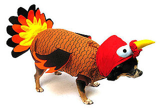 Turkey Costume For Dogs